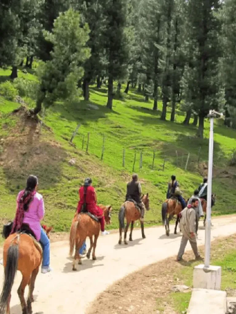 Pony Ride Trails