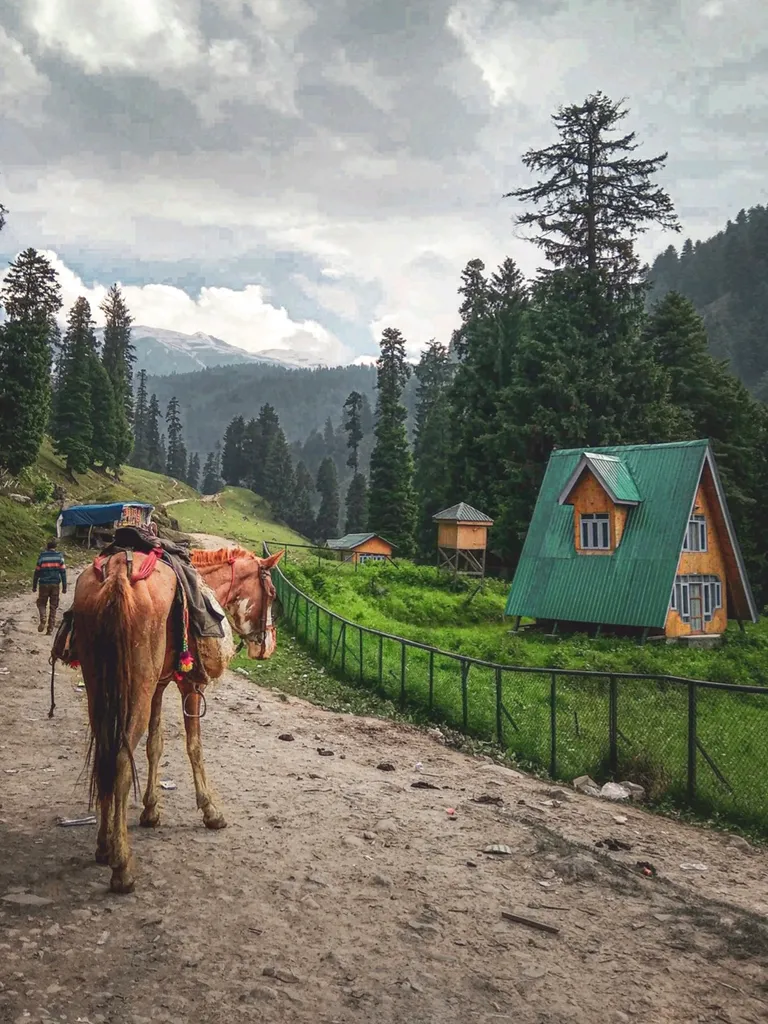  Photography Huts