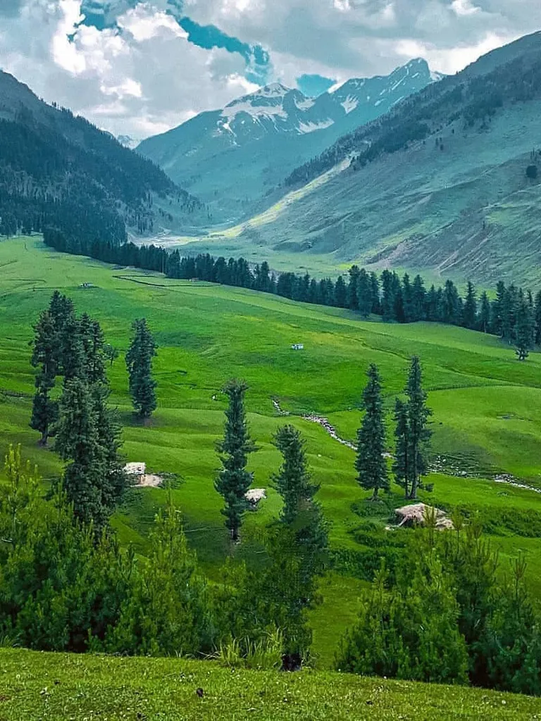 Kongwattan Meadow