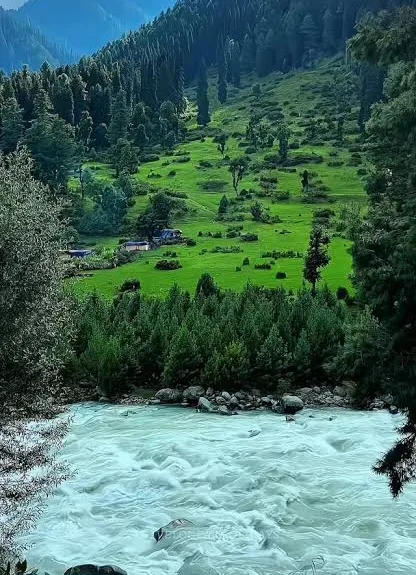 Doodhpathri image 4