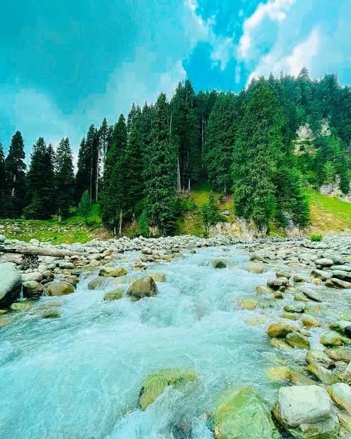 Doodhpathri image 3