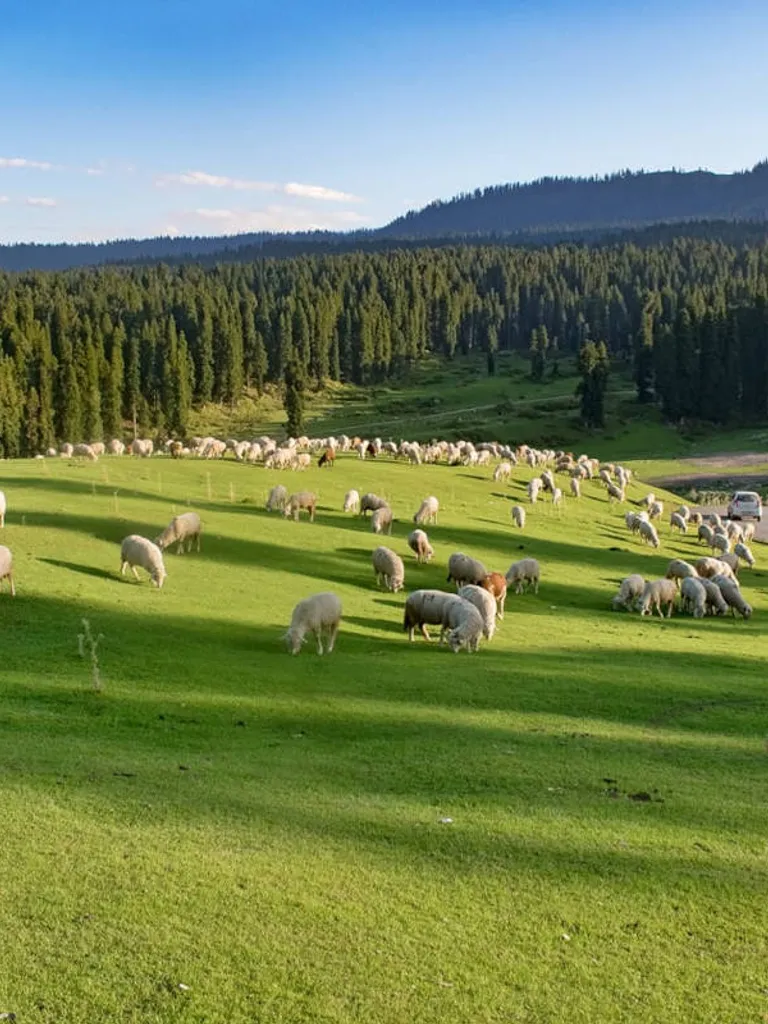  Diskhal Meadow