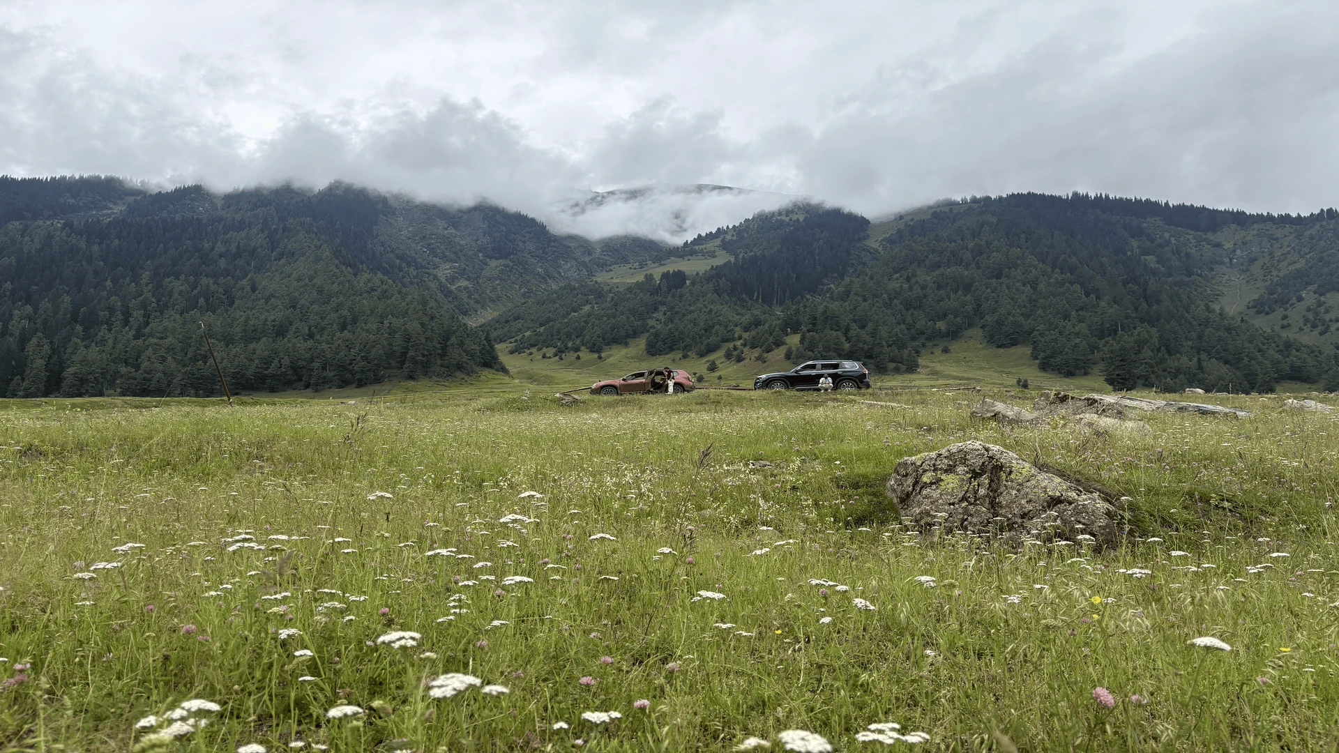 Warwan Valley image 4