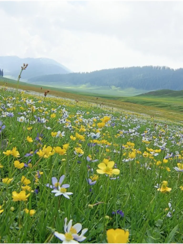 Flora & Fauna