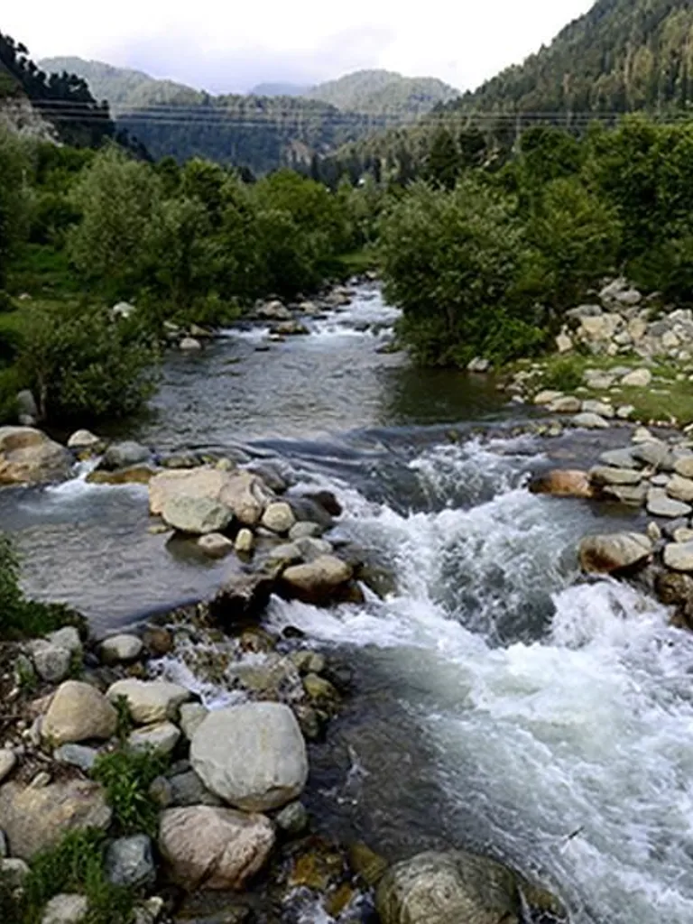Trout Fishing icon