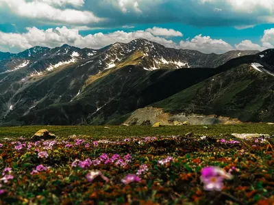 Sinthan Top Reopens: Best Places to Visit & Travel Guide 2026