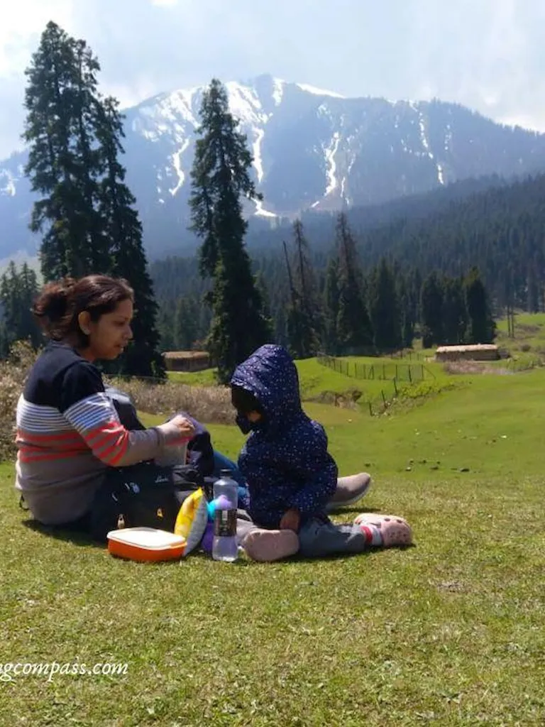  Picnic Spots