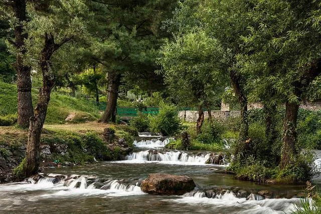 Daksum image 4
