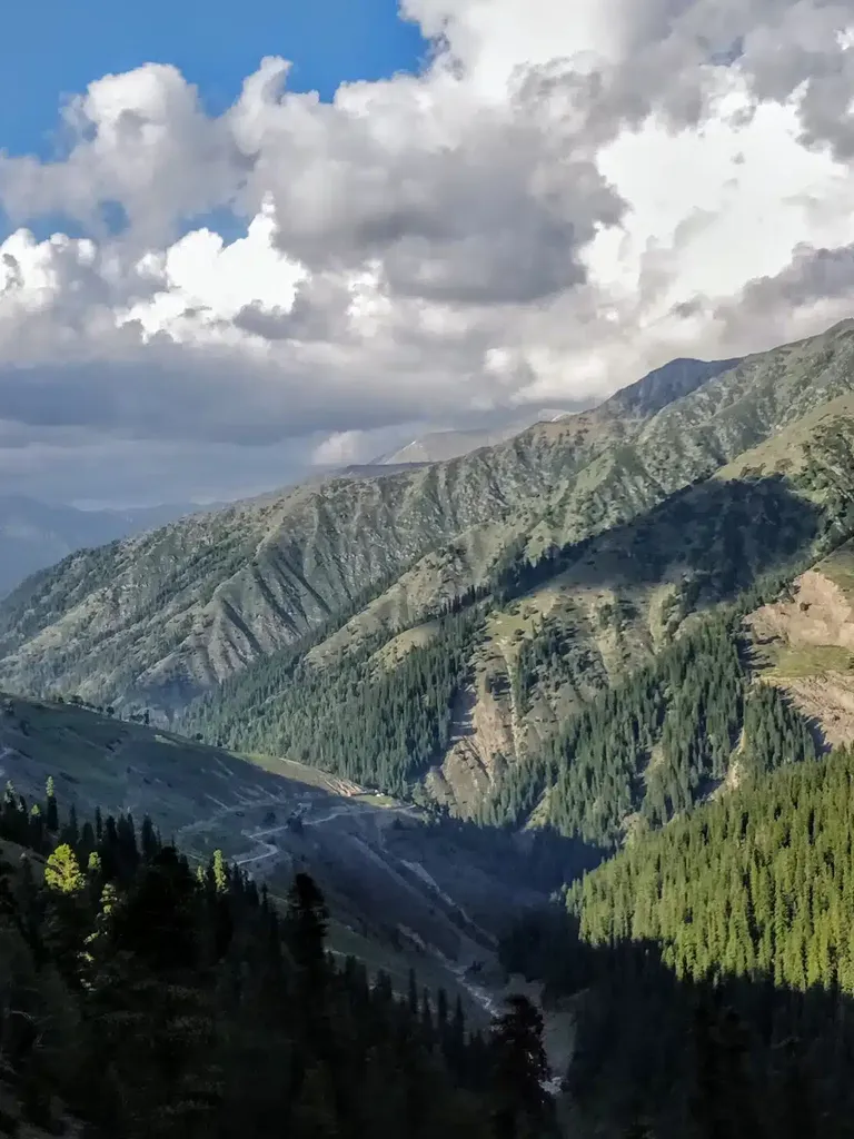 Upper Bangus Meadows