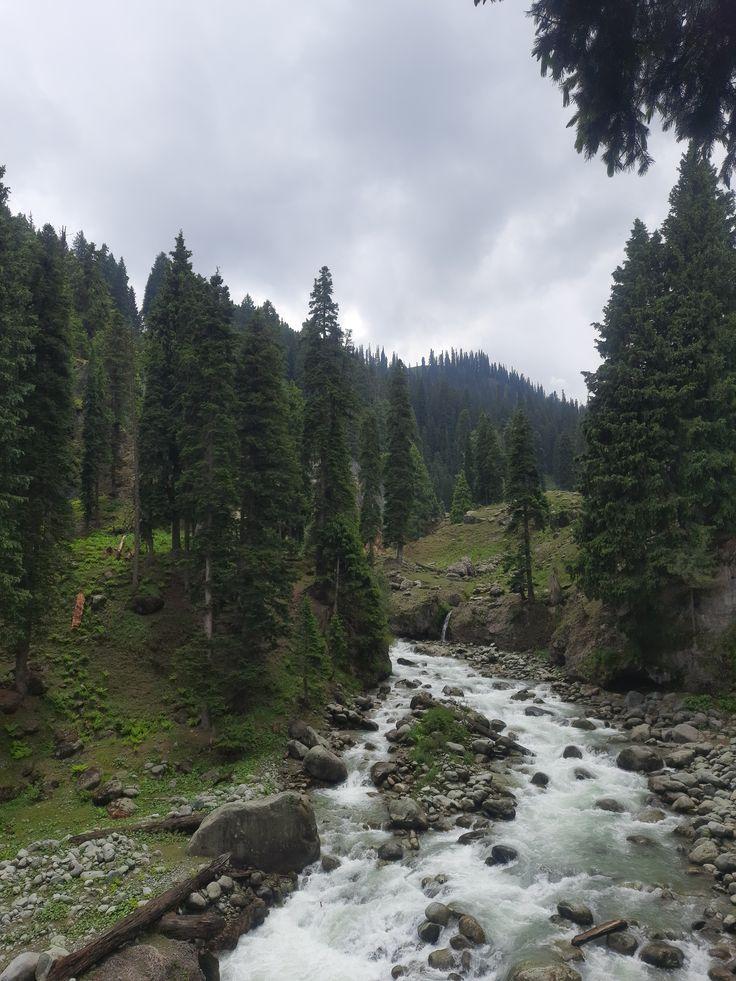  Mountain Streams