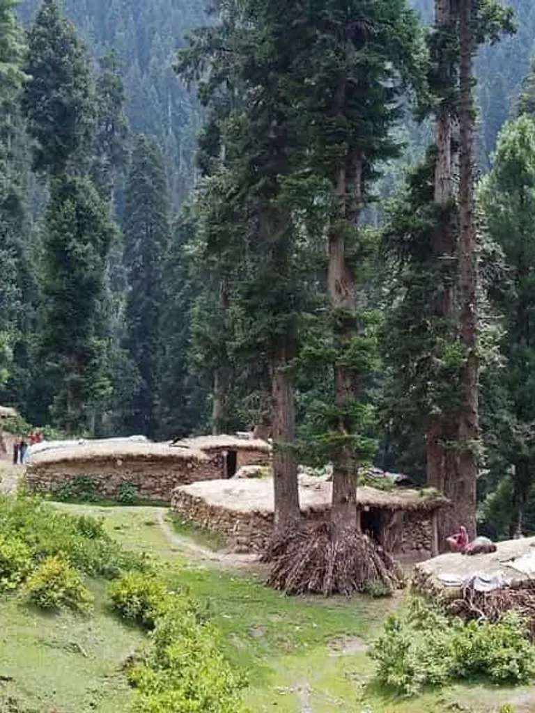 Forest Trails & Trekking Routes