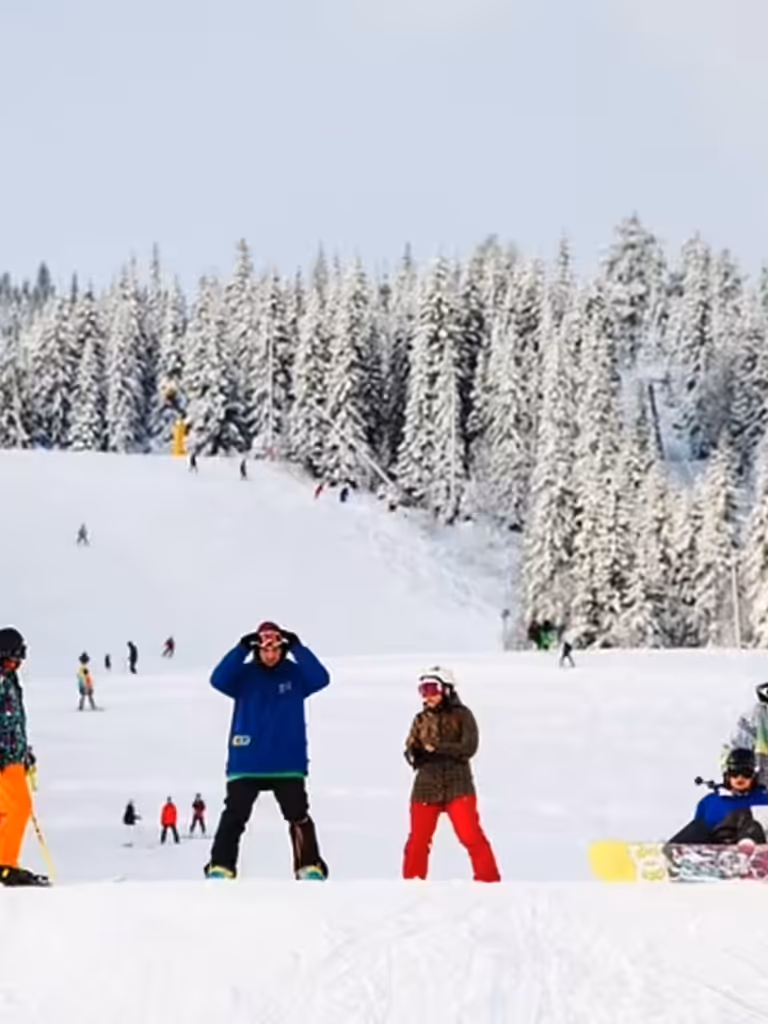 Winter Sports and Adventures Involving Snow icon