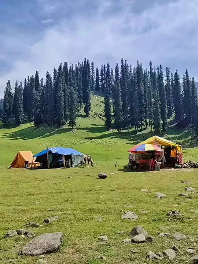 Camping & Trekking Spots