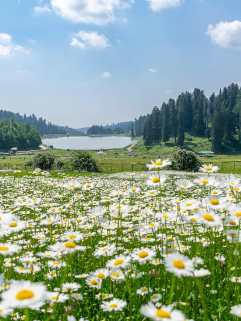 (March – May)