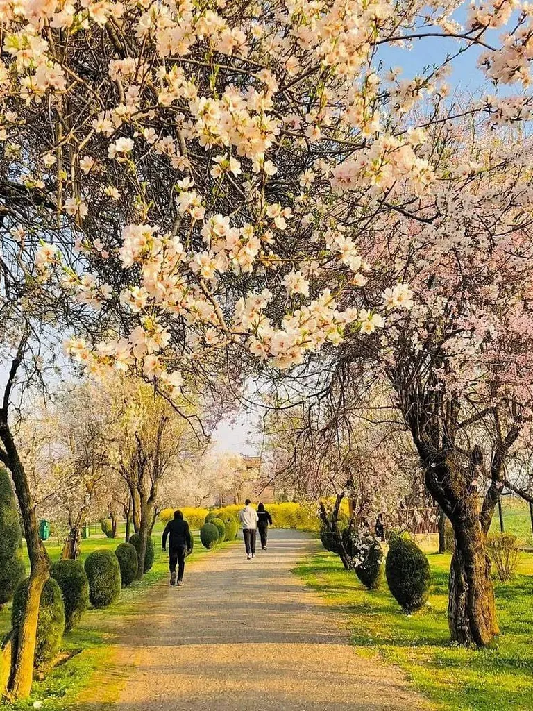  Badamwari Garden