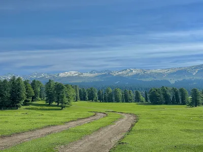 Doodhpathri