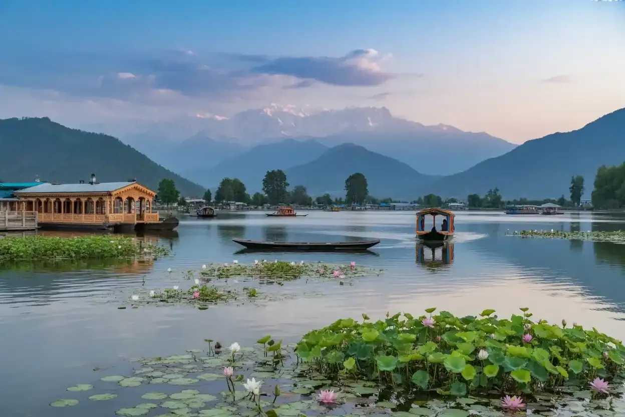 Beyond Sightseeing: How Immersive Tourism Is Transforming Kashmir