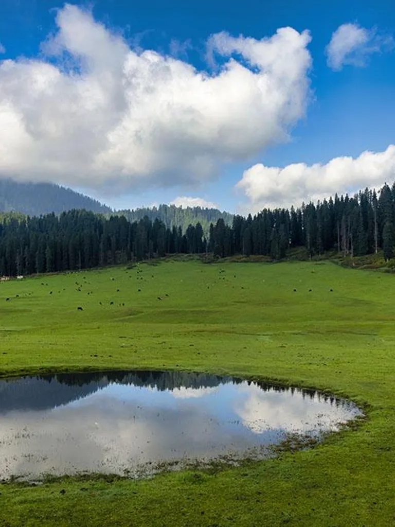 Diskhal Meadow