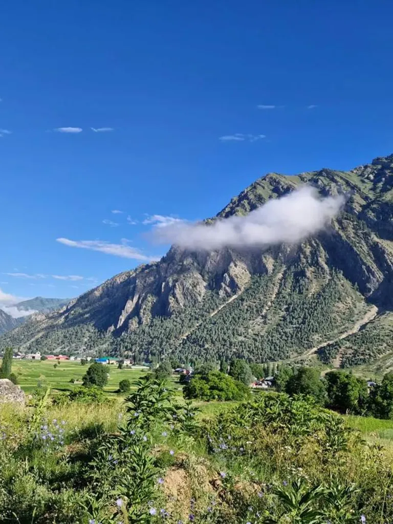 High-Altitude Meadows of Tulail