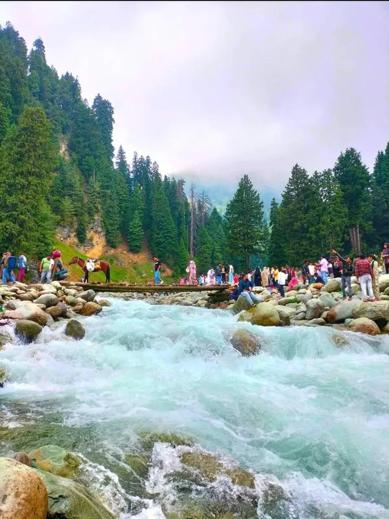  Picnic by the Shaliganga River icon