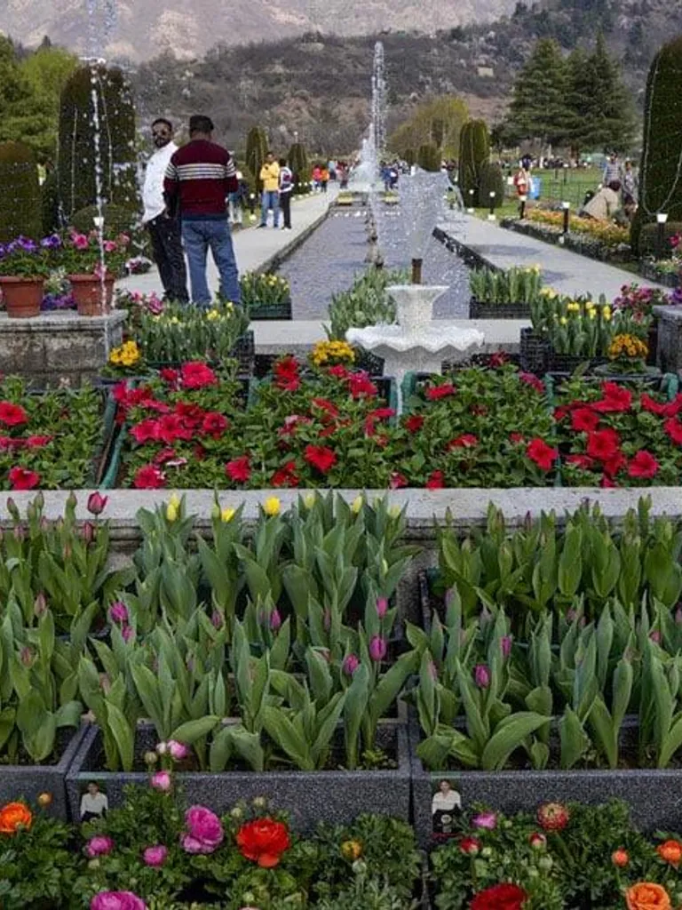 Visiting the Tulip Garden