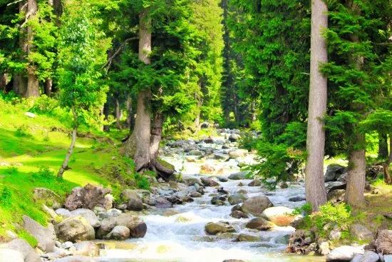 Daksum image 1