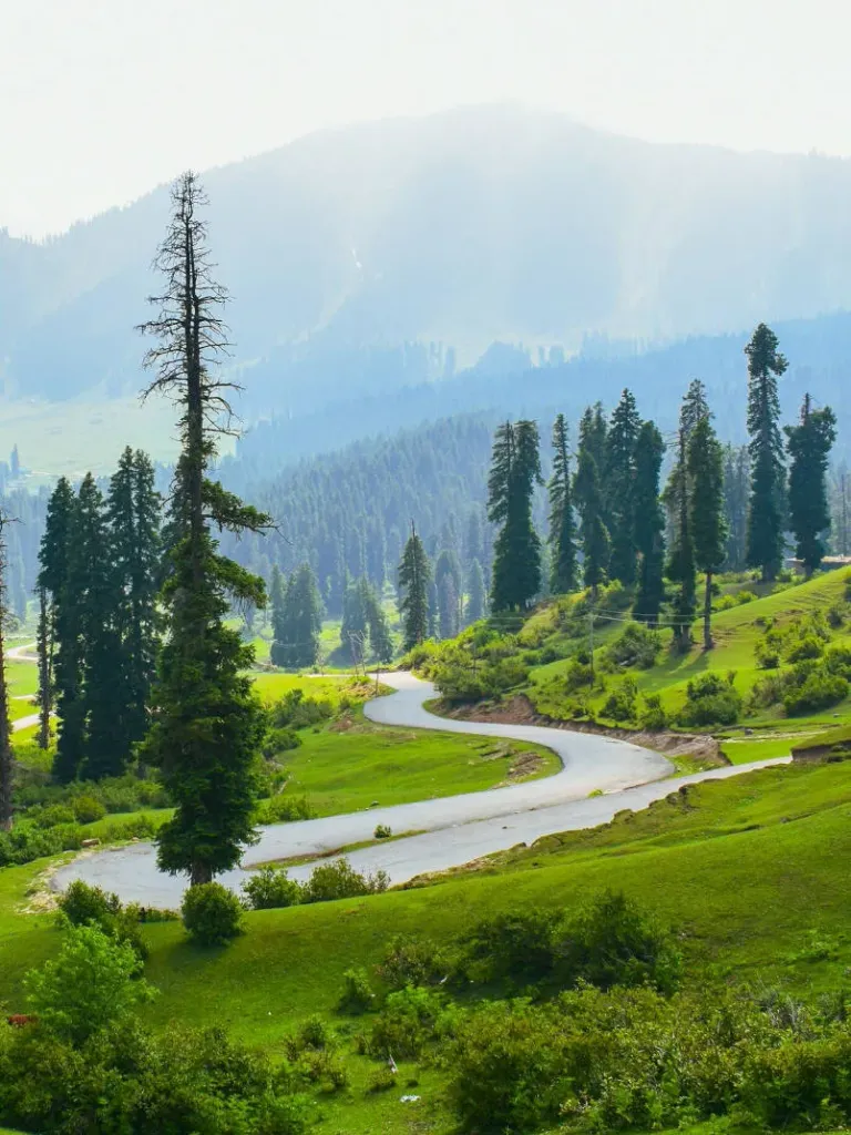  Nature Walks and Leisure Strolls