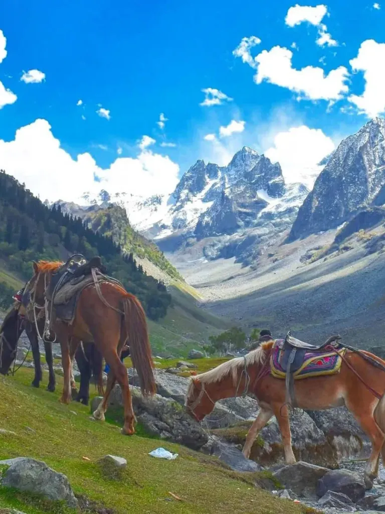  Horse Riding Through the Valley