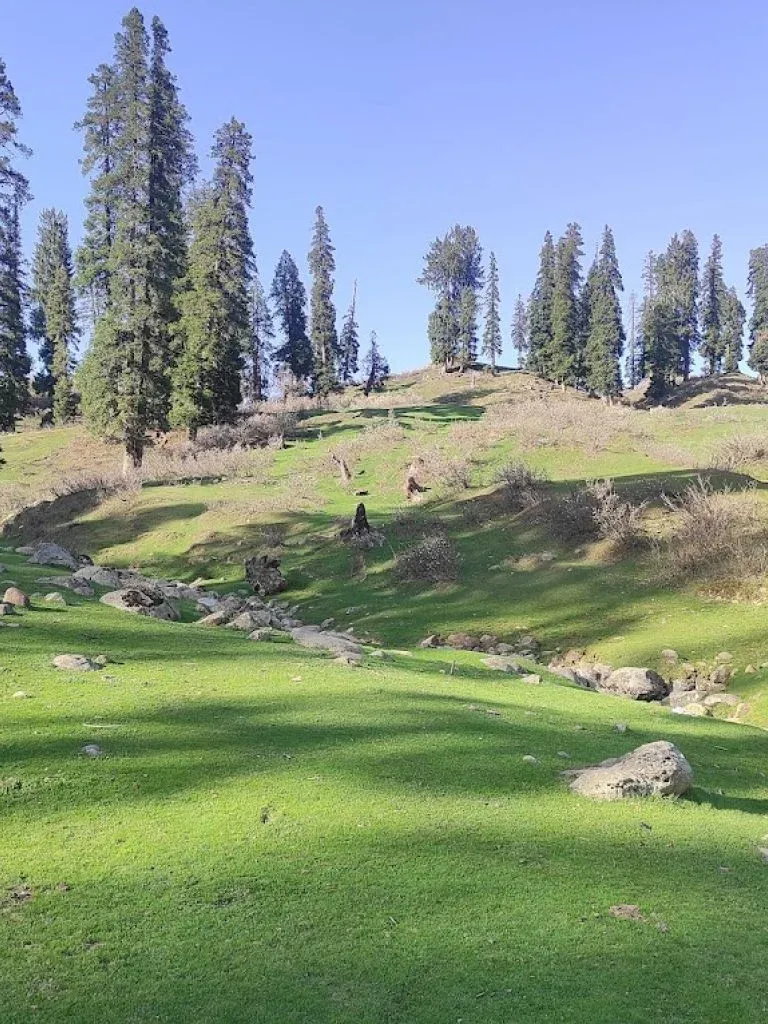 Tangnar Meadow