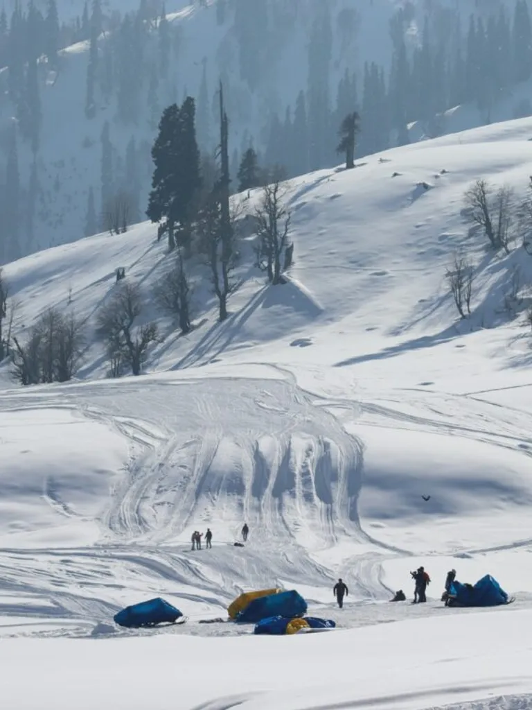 Snow Fields & Meadows