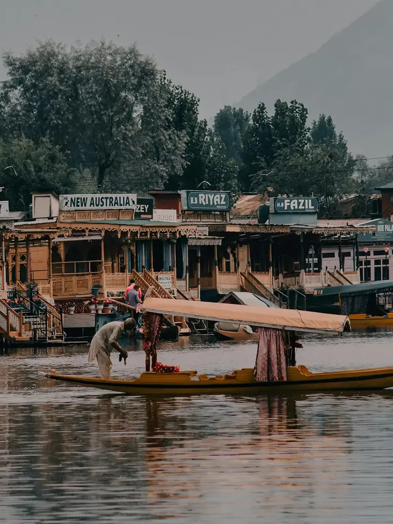 Kashmir experience