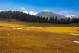 (Sep –Nov)