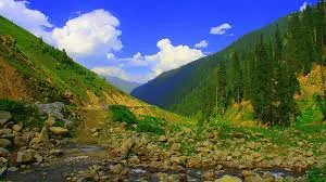 Dawar Village
