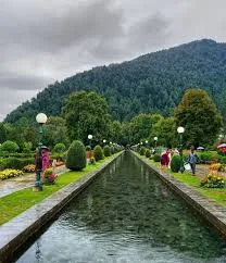 Verinag image 3