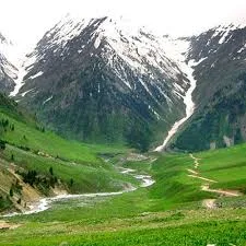 Daksum Valley Meadows