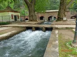 Explore Verinag Spring icon