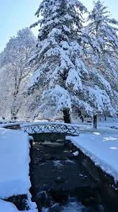 Kokernag  image 3