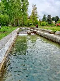 Trout Fish Farm