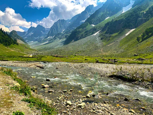 (June – August)