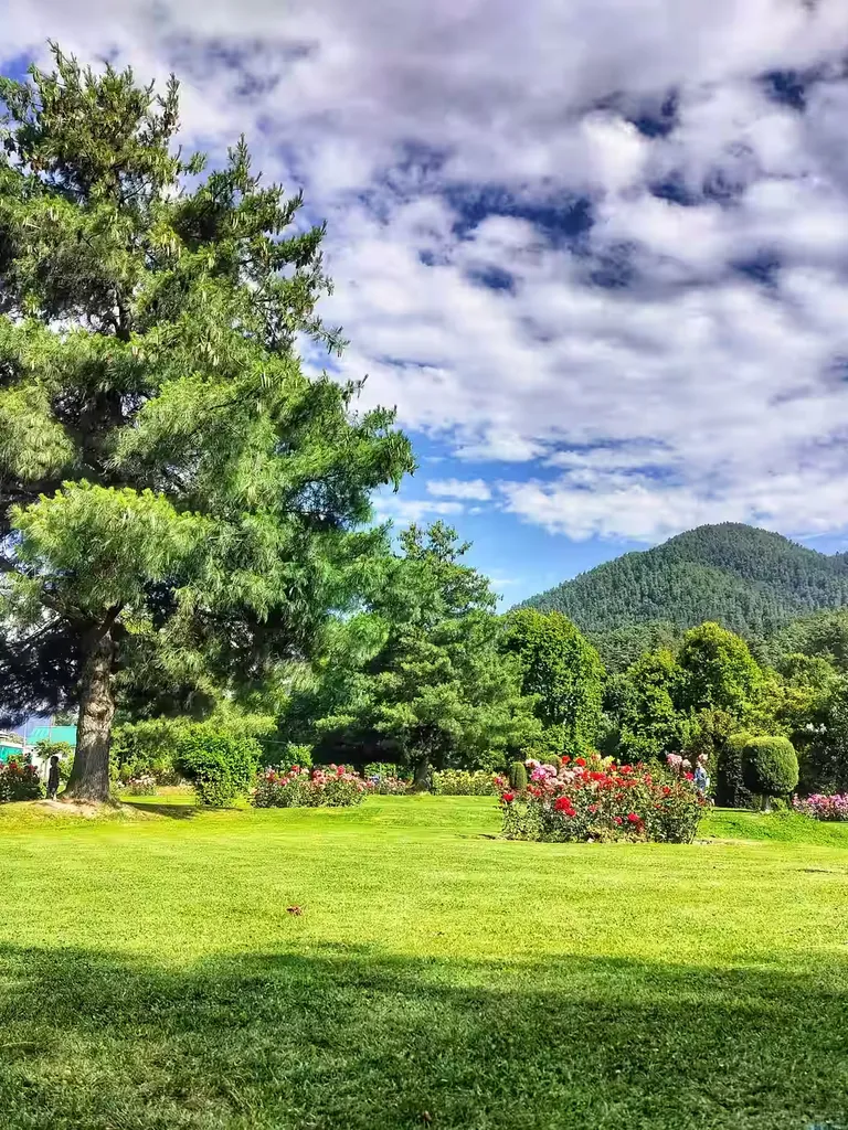 Visit Kokernag Spring icon