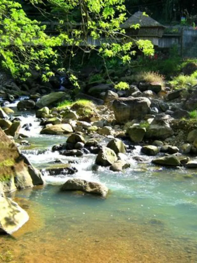 Bringi River