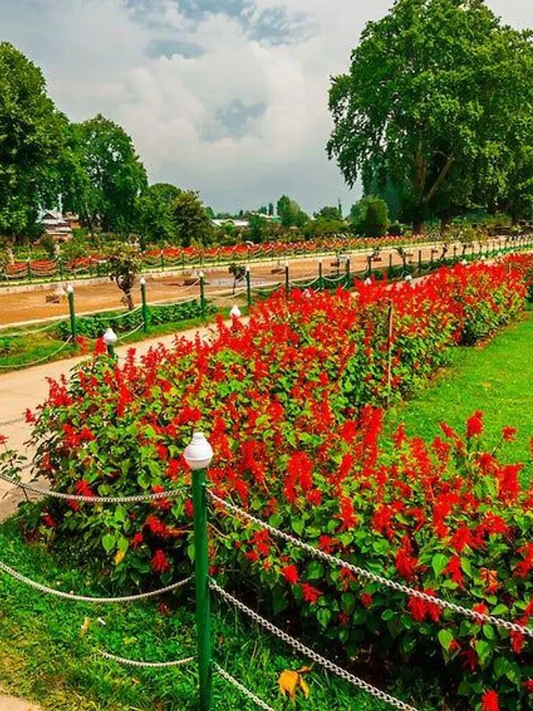Visiting Shalimar Bagh icon