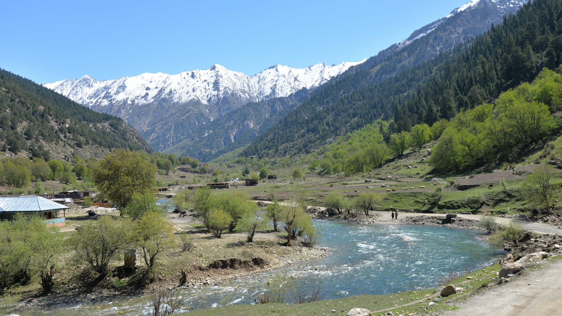 Sonmarg image 3