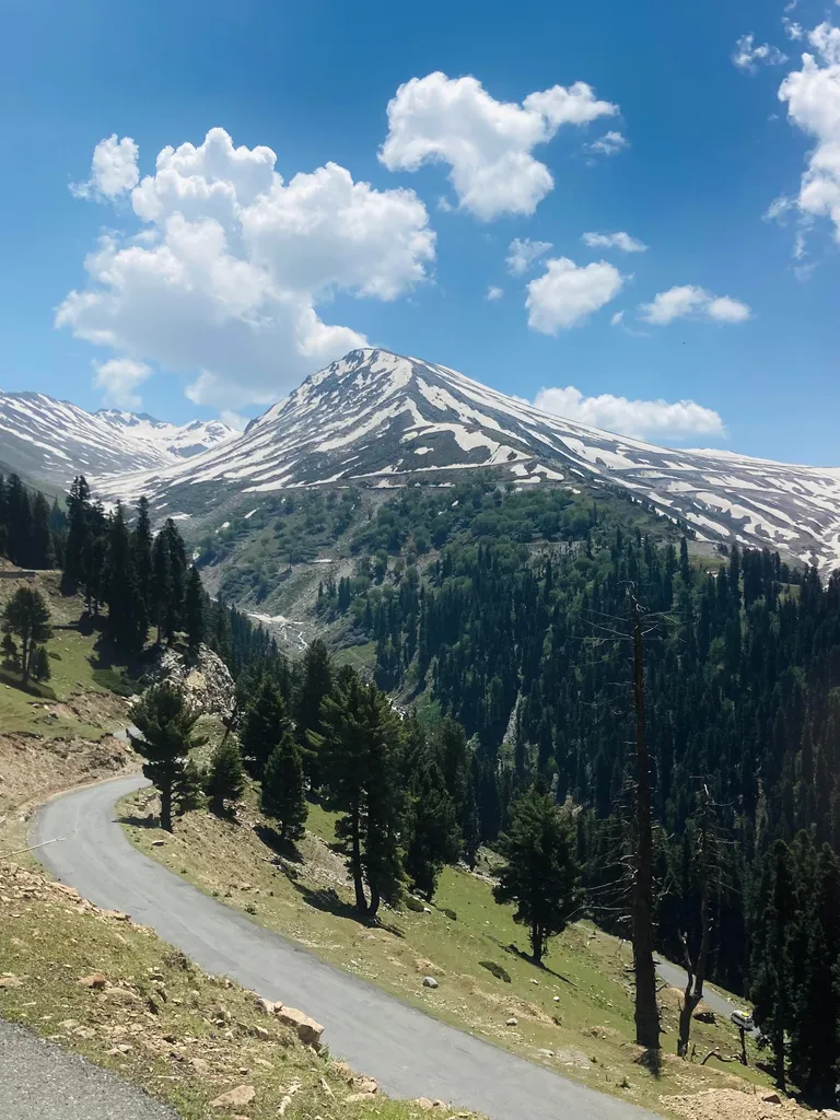 Sinthan Top Pass