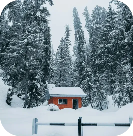 Kashmir beauty