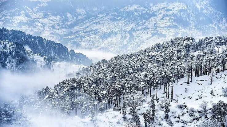 Does it Snow in Kashmir? Best Time & Places to See Snowfall