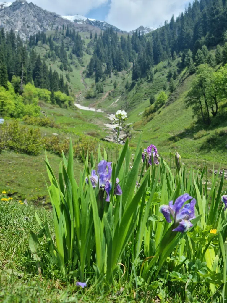  (March – May)