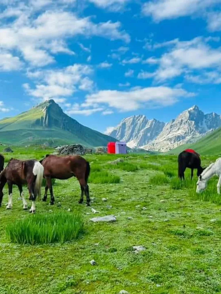 Humpet Meadows