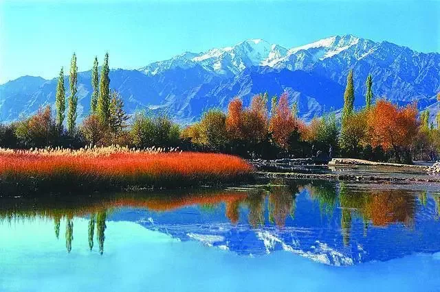 Autumn