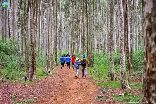 Trek To The Pristine Gangbal Lake